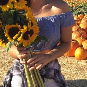 LF Call me Eden gingham crop top